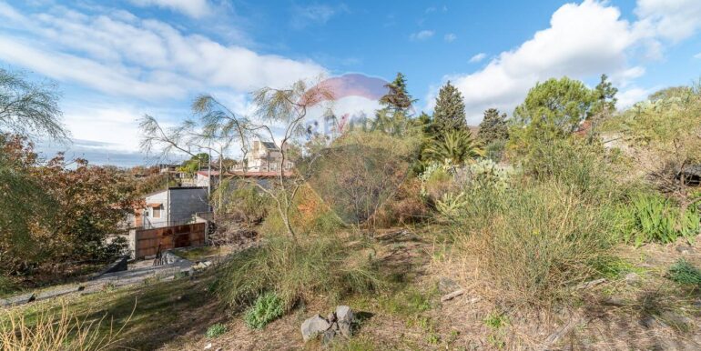 20251211103030-1008516-19