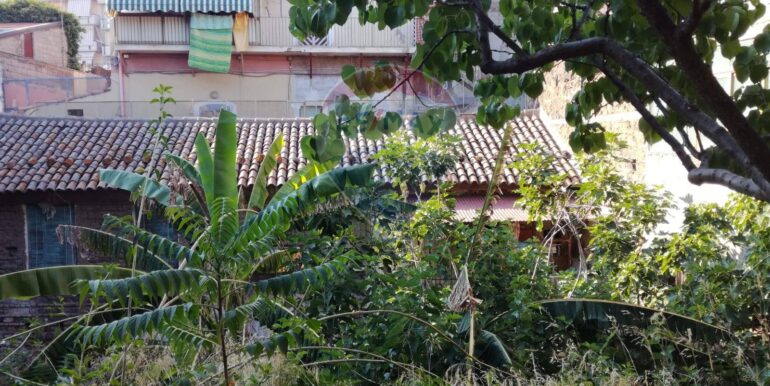 20251211103516-1009959-5