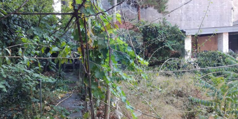 20251211103517-1009959-7