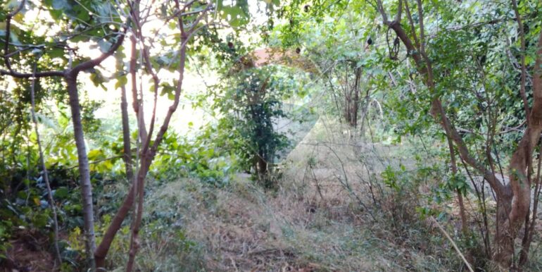 20251211103517-1009959-8