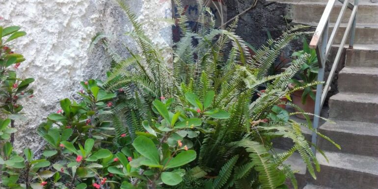 20251211103519-1009959-16