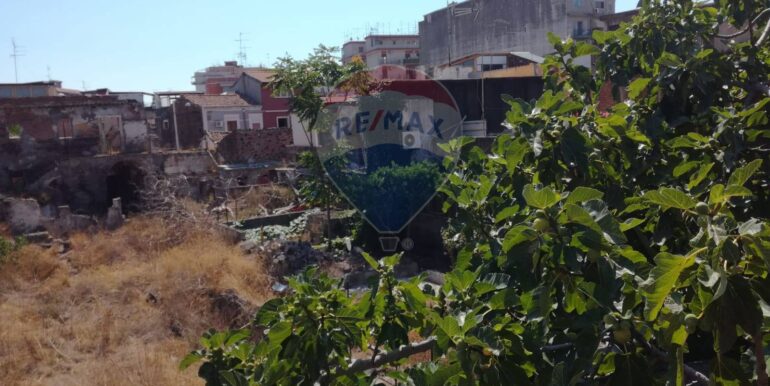 20251211110517-1009971-3