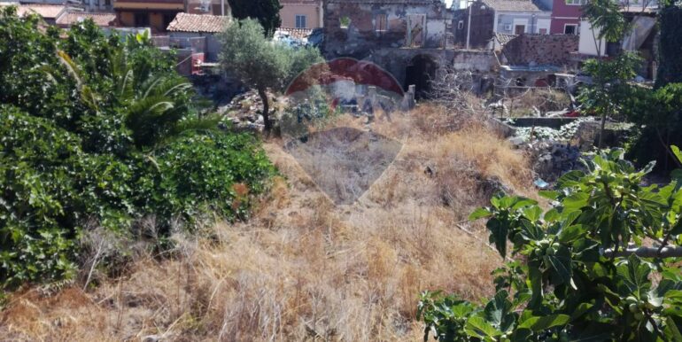 20251211110518-1009971-5