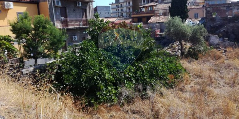 20251211110518-1009971-7