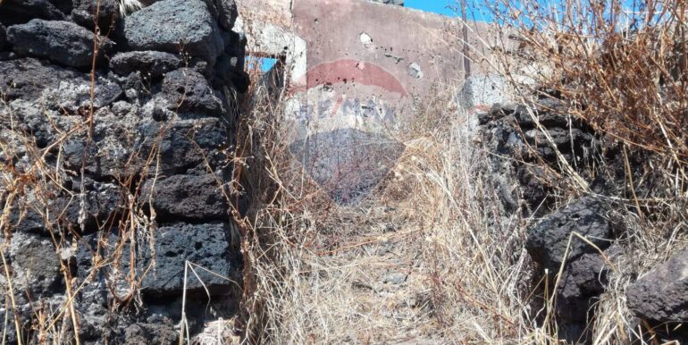 20251211110519-1009971-11