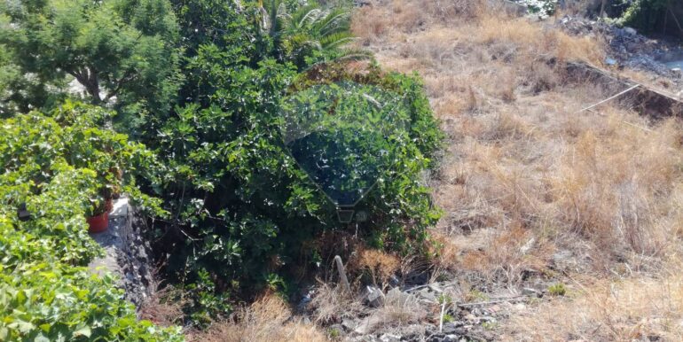 20251211110519-1009971-9