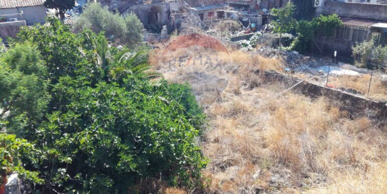 20251211110520-1009971-12