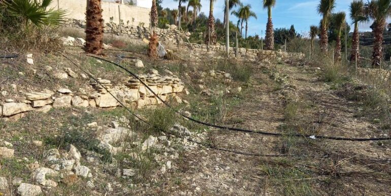 20251211174148-1010068-26