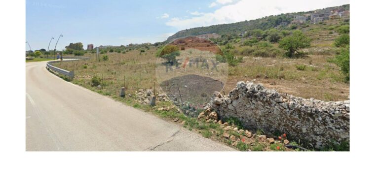 2025121192746-1006561-6