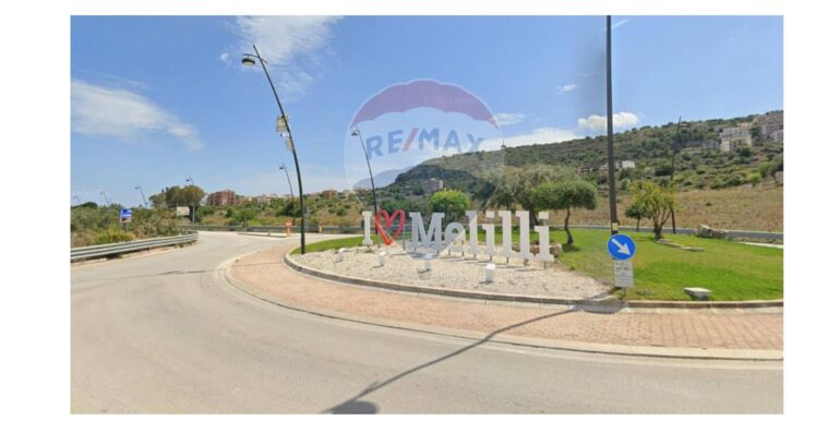 2025121193239-1006561-8