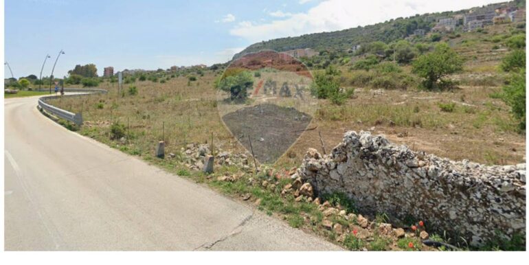 20251212105249-1006561-6