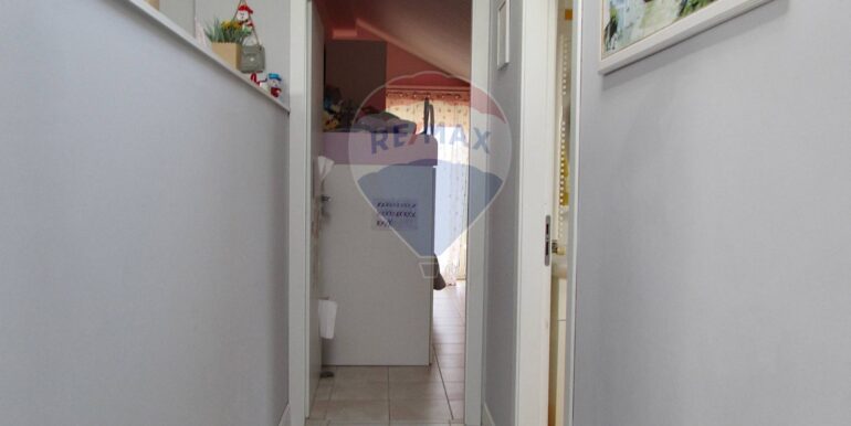 20251212113101-1010145-3