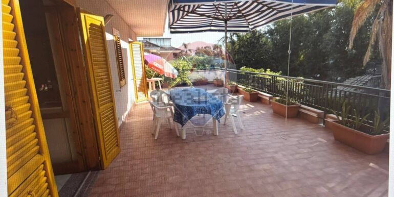 20251212154801-1010272-7