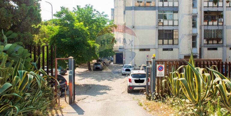 20251212174555-1010305-1