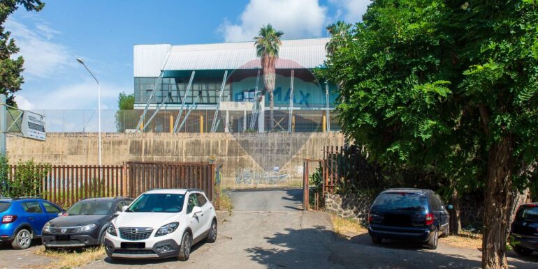 20251212174559-1010305-2