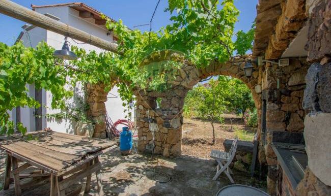 2025121245539-1010121-4