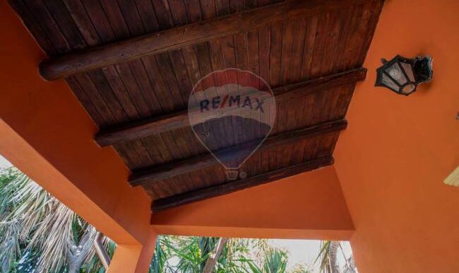 2025121245543-1010121-6