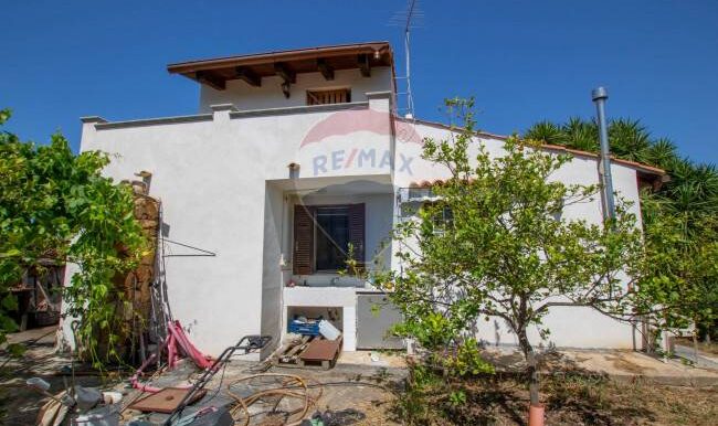 2025121245556-1010121-12