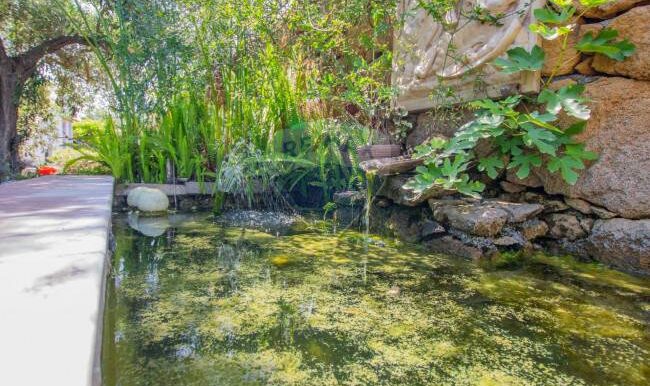 2025121245559-1010121-14