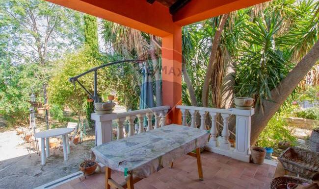 2025121245602-1010121-15