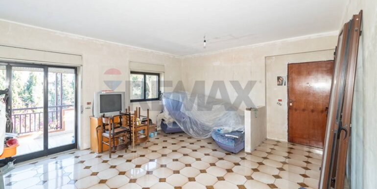 2025121295541-1010013-3