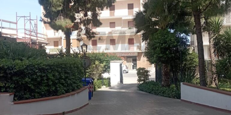 20251215120959-1010602-1