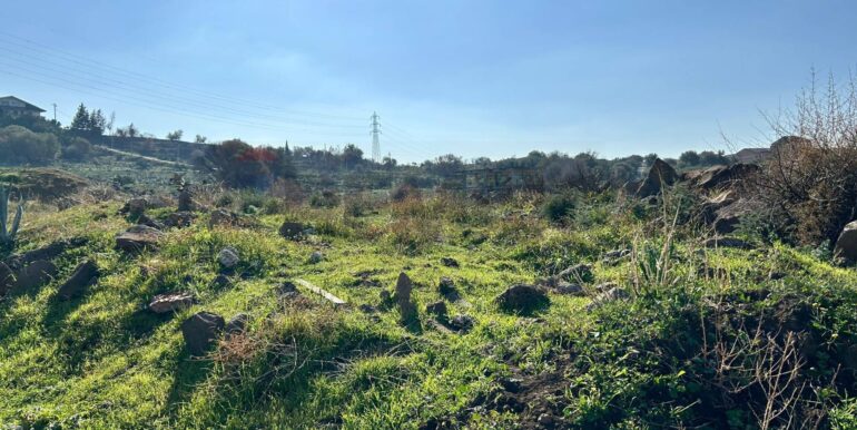 20251215135523-1010623-12