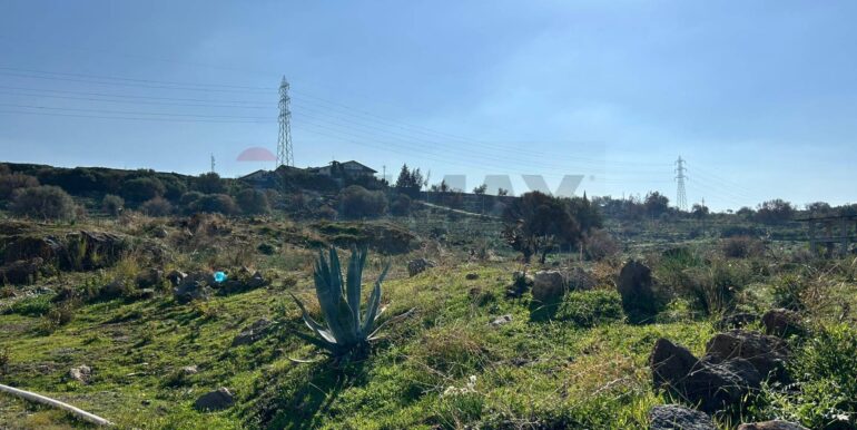 20251215135526-1010623-13