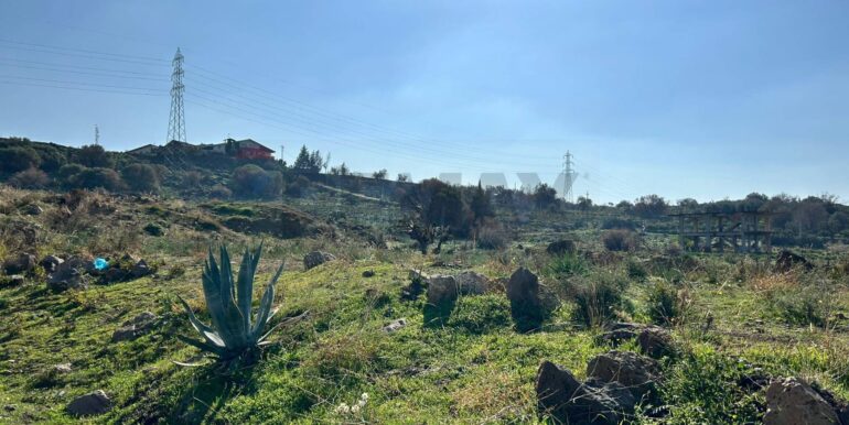 20251215135538-1010623-18