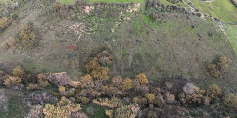 20251216104417-1006587-1