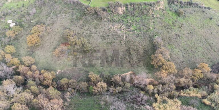 20251216104421-1006587-2