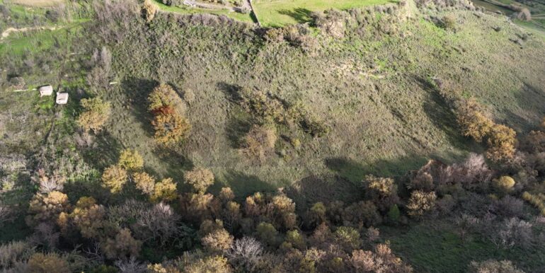 20251216104425-1006587-3