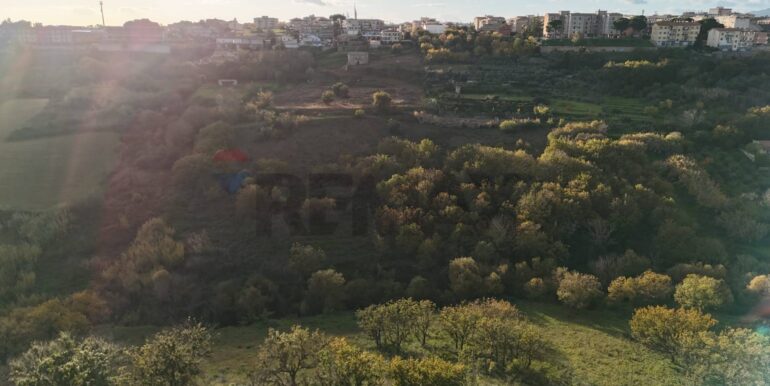 20251216104427-1006587-4