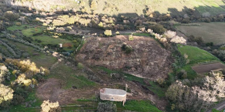 20251216104430-1006587-5