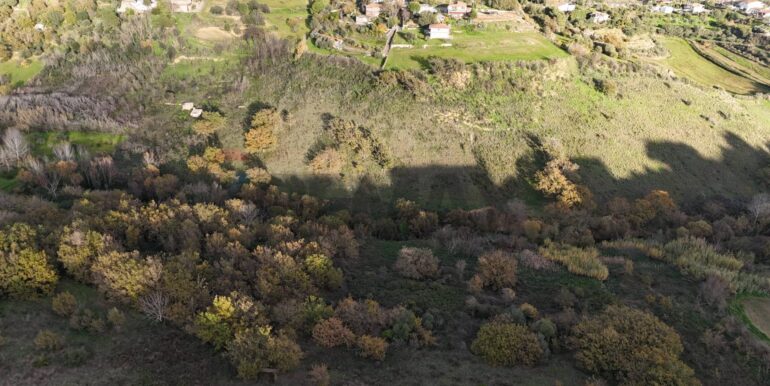 20251216104505-1006587-17