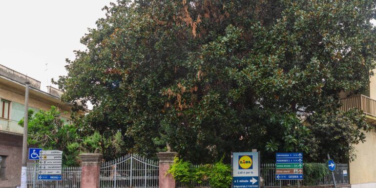 20251216115747-1010775-4