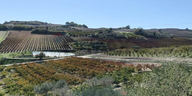 20251218113113-863699-33