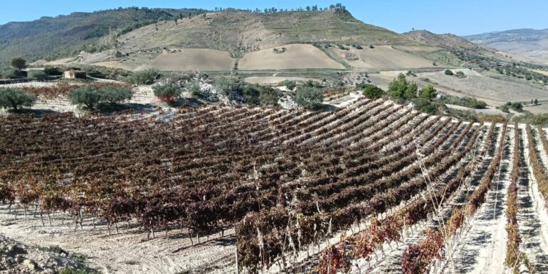 20251218113121-863699-34