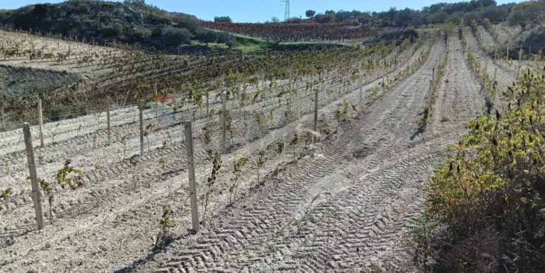 20251218113136-863699-36