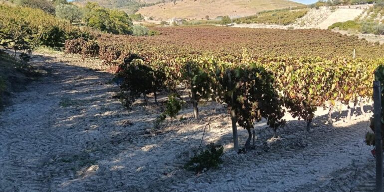 20251218113143-863699-37