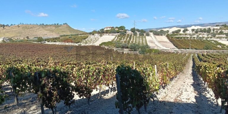 20251218113149-863699-38