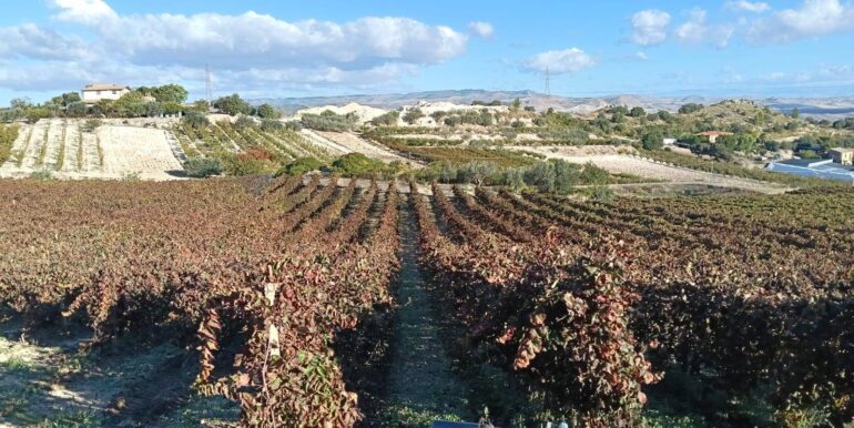 20251218113155-863699-39