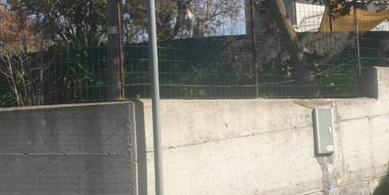 20251219142056-1011471-1