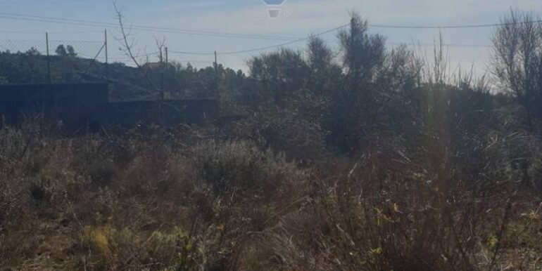 20251219142056-1011471-2