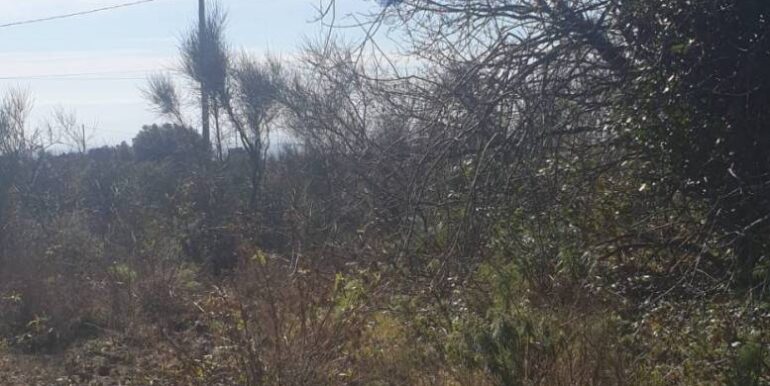 20251219142056-1011471-3