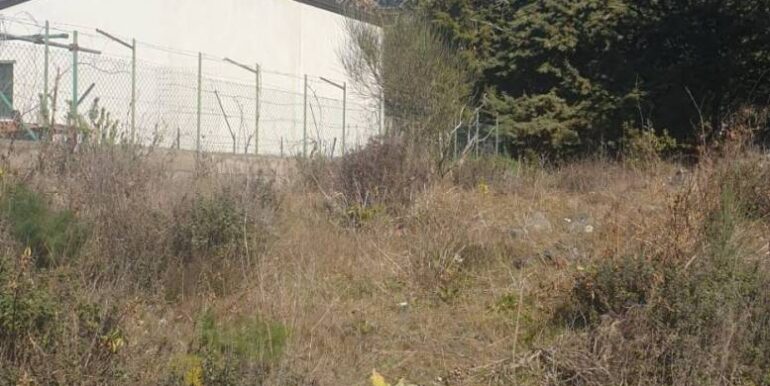 20251219142056-1011471-4