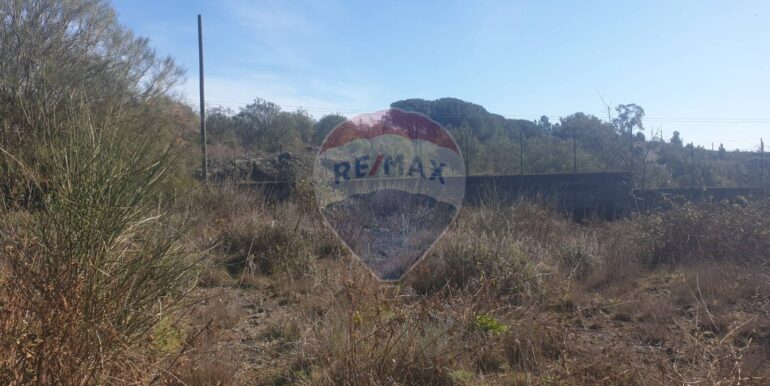 20251219142057-1011471-6