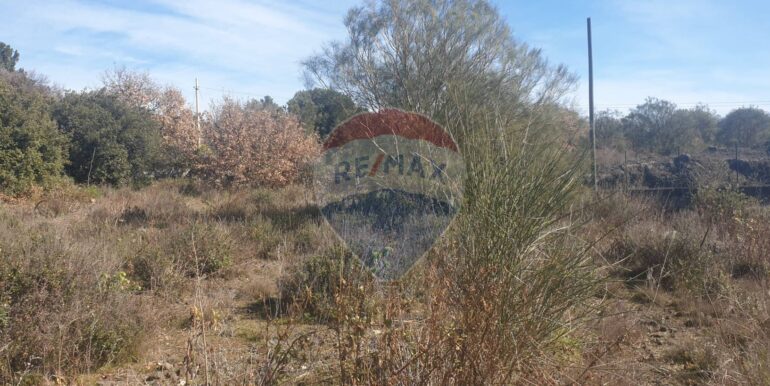 20251219142057-1011471-7