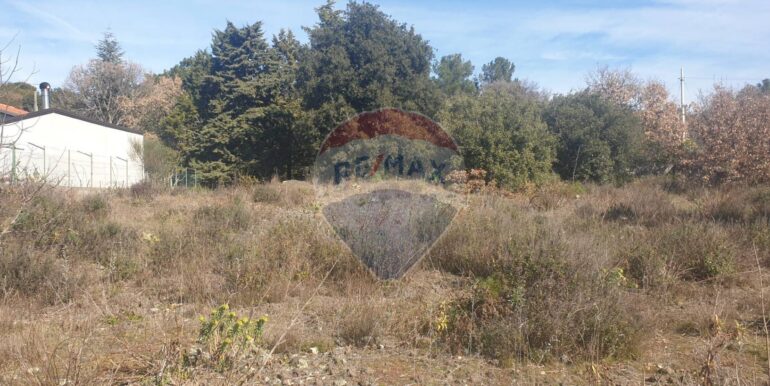 20251219142058-1011471-8