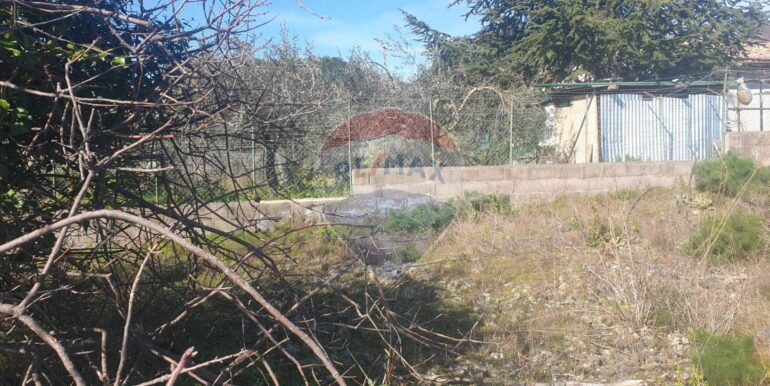 20251219142058-1011471-9